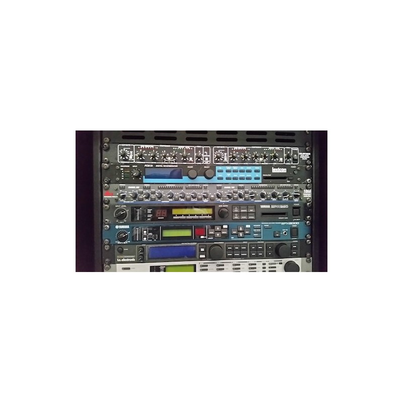 TC ELECTRONICS D-TWO