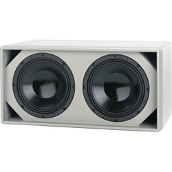 AQ210 SUB 2X10 600W AES MARTIN AUDIO